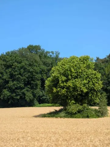 uitzicht oosterbeek