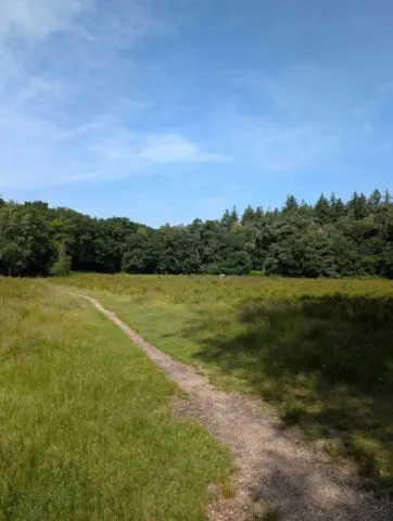Oosterbeek wandelen