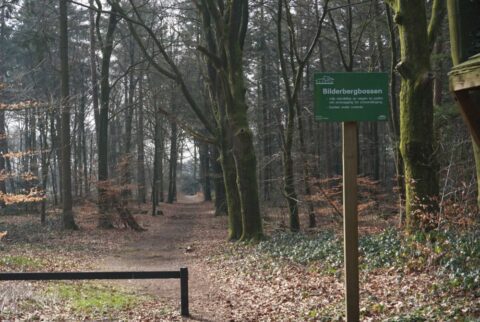 bilderbergbos